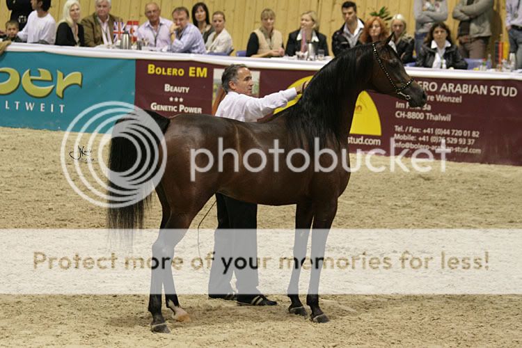 Coupe des nations à Aachen - Page 2 MarwanAlShaqab92