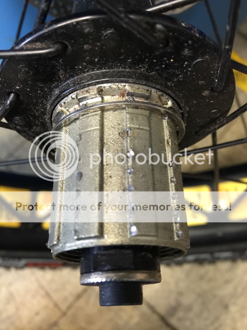 specialized fatboy rear hub