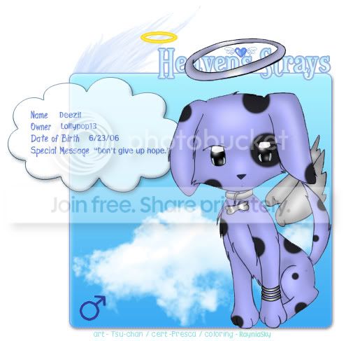 User Image