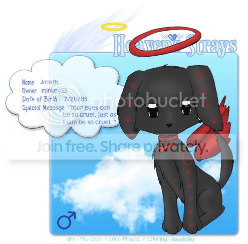 User Image