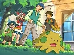 [PokeCommunity.com] The May/Haruka Fan Club