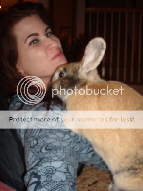 Photobucket - Video and Image Hosting