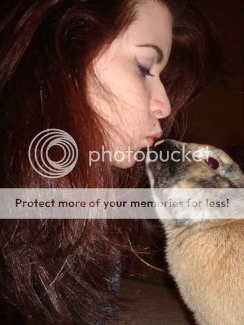 Photobucket - Video and Image Hosting