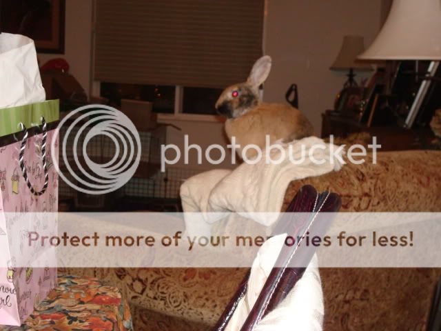 Photobucket - Video and Image Hosting