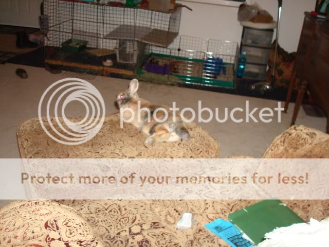 Photobucket - Video and Image Hosting