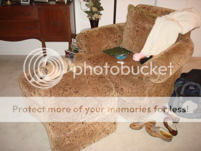 Photobucket - Video and Image Hosting