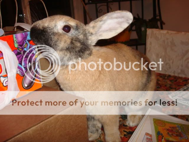 Photobucket - Video and Image Hosting