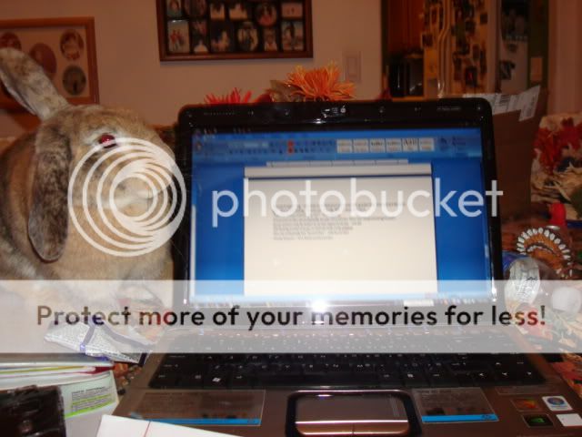 Photobucket - Video and Image Hosting