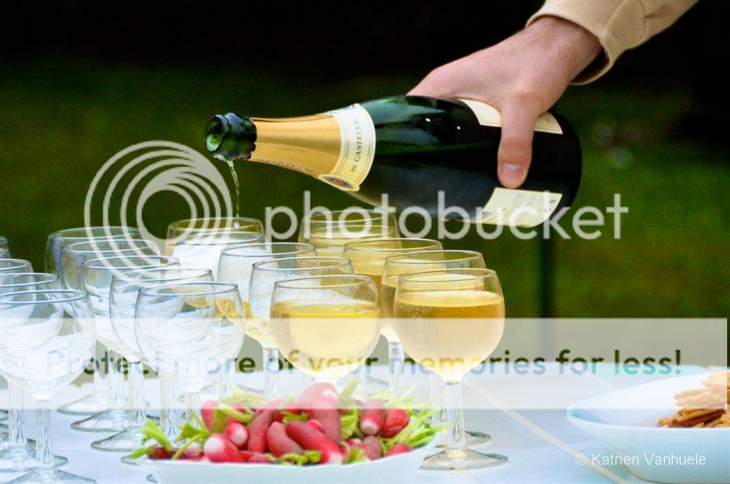 Champagne 2013 (F) DSC_0581_zps50cd90d1