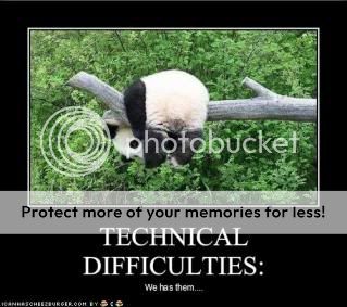 Panda fans unite~ *A*)/ Funny-pictures-panda-has-technical-