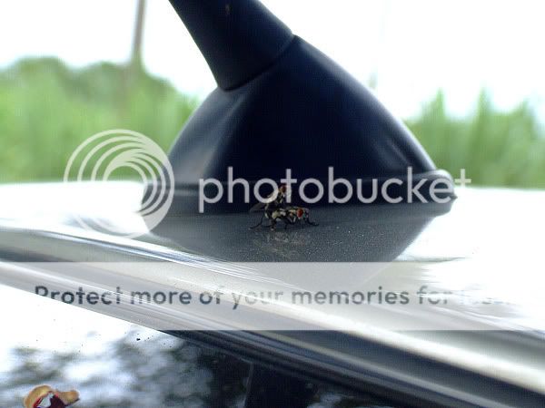 Mitsubishi Scandal - Caught on Camera Image004