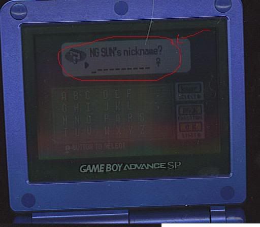 [PokeCommunity.com] A hidden pokemon mabey?