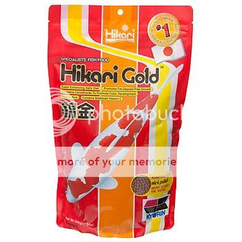 HIKARI GOLD x 500g mini pellet 042055022422C