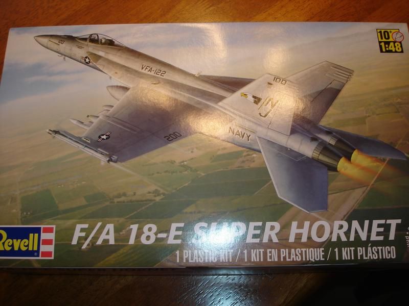 F/A 18-E Super Hornet 1/48 scale DSC00471_zps93293ebc