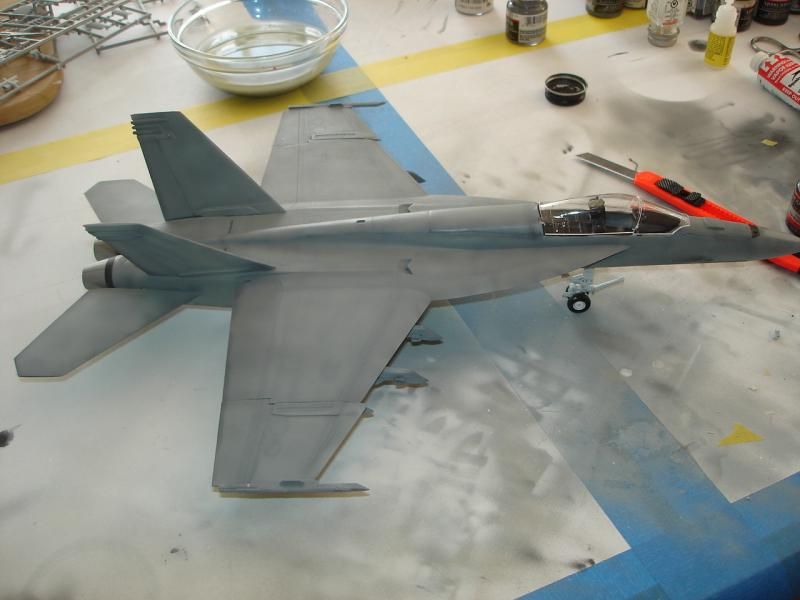 F/A 18-E Super Hornet 1/48 scale DSC00518_zps1a317c82