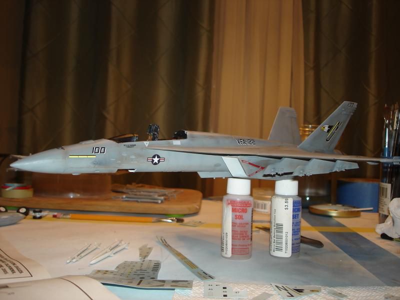 F/A 18-E Super Hornet 1/48 scale DSC00522_zps5c9c3b99