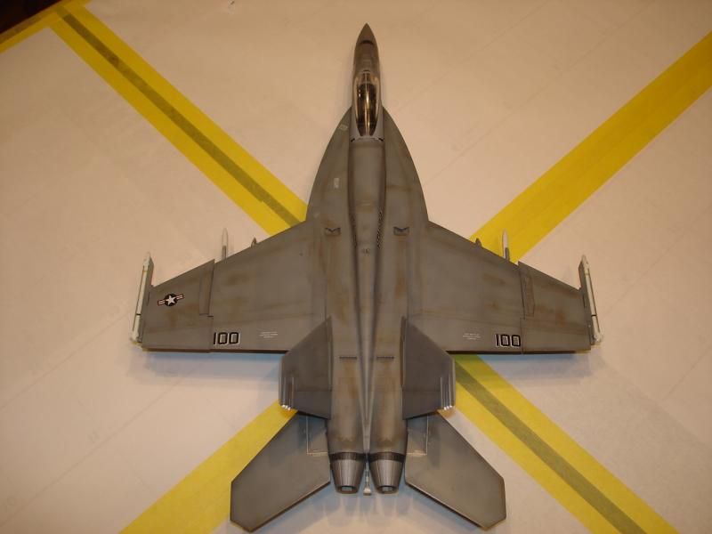 F/A 18-E Super Hornet 1/48 scale - Página 2 DSC00609_zps95846ebb