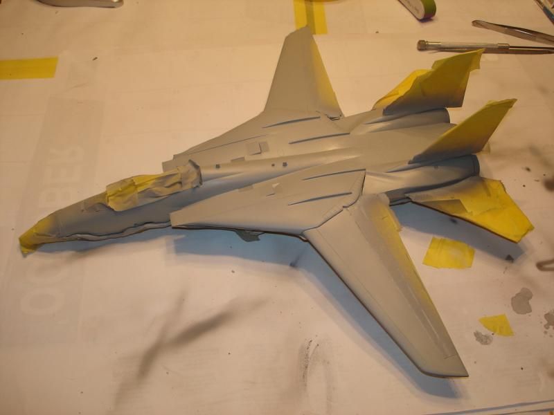 F-14 A Tomcat 1/48 scale. - Página 2 DSC00900_zps538508d3
