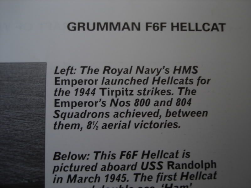 Hellcat Mk.1 "Fleet Air Arm" escala 1/48 DSC06990