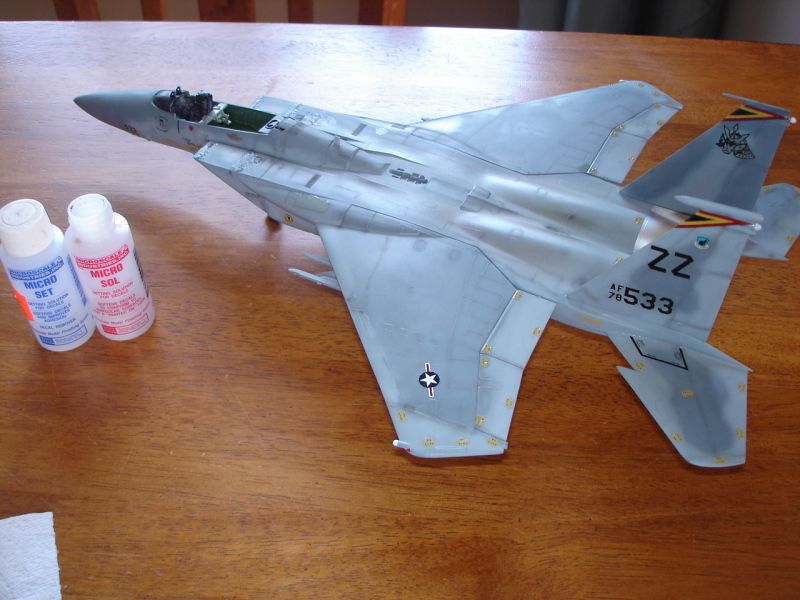 F-15 C Eagle - Página 2 DSC09031