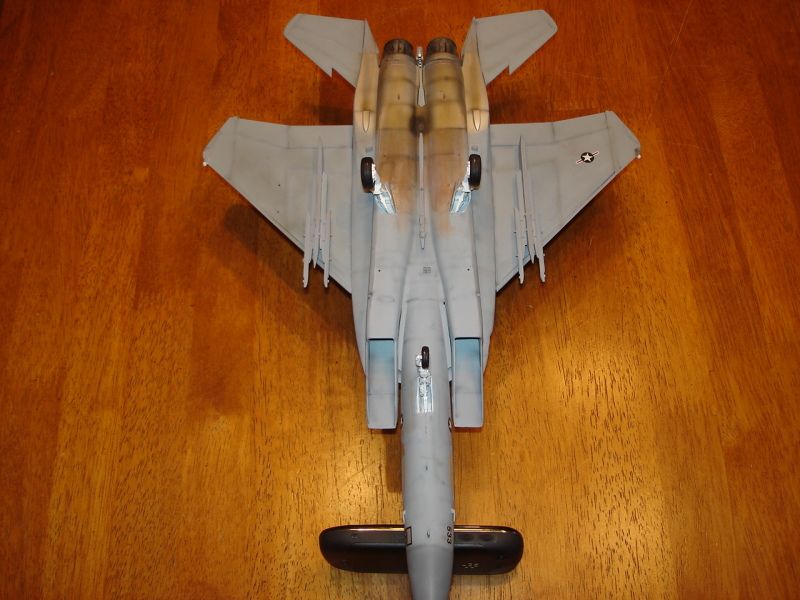 F-15 Eagle escala 1/48 DSC09039