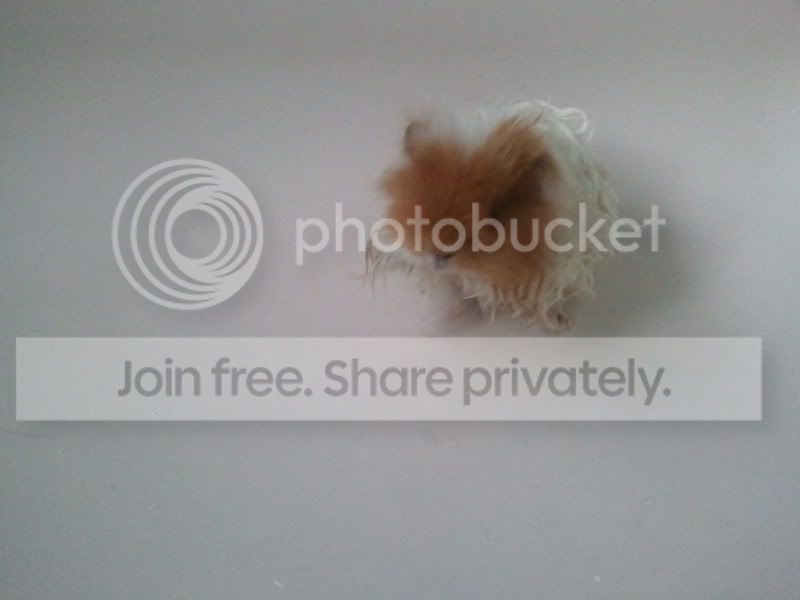2011-05-09200438.jpg