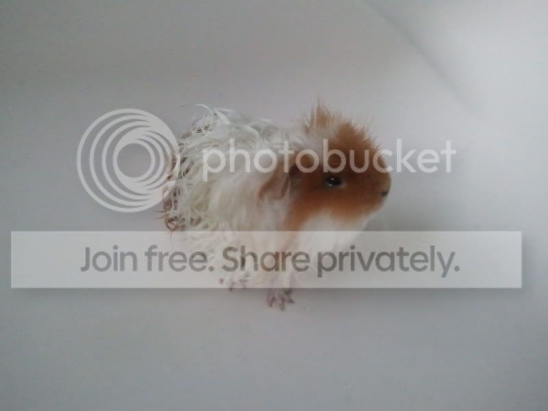 2011-05-09200443.jpg