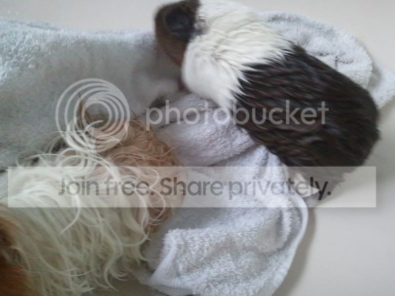 2011-05-09200718.jpg