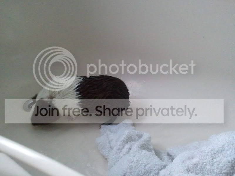 2011-05-09200724.jpg