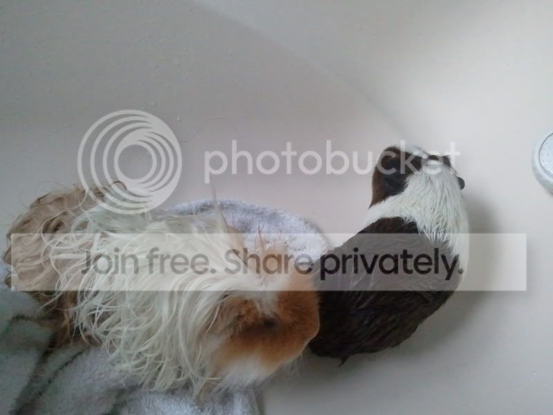 2011-05-09200741.jpg