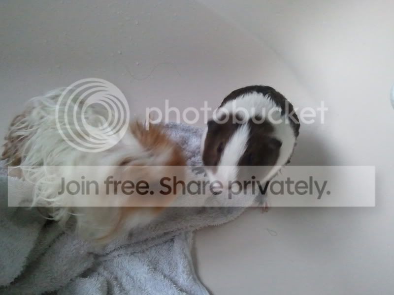 2011-05-09200747.jpg