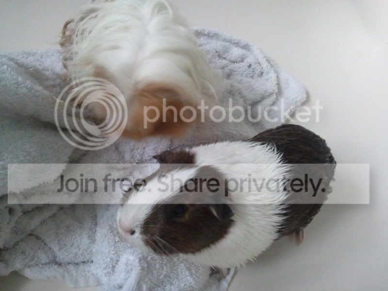 2011-05-09200800.jpg