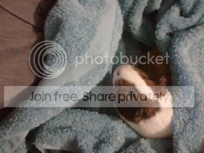 2011-05-09202717.jpg