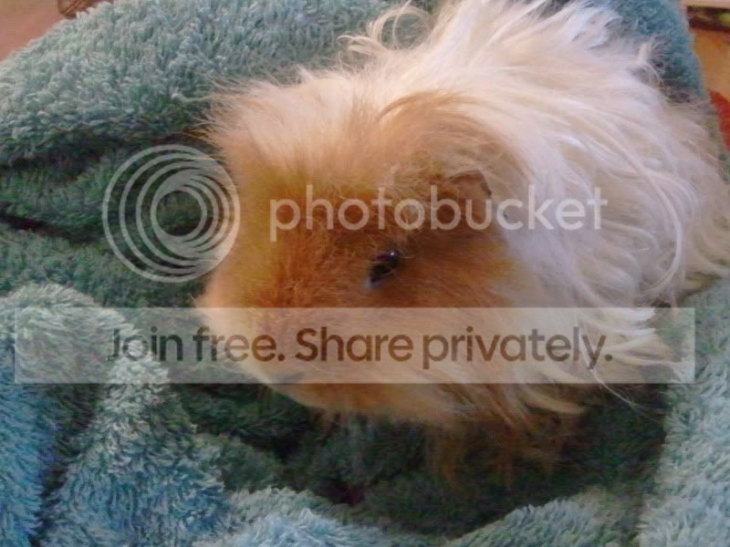 2011-05-09203021.jpg