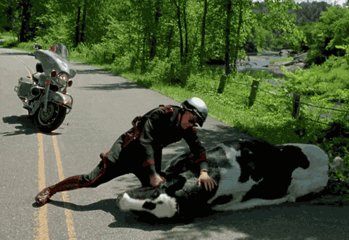 thug_zps33b56553.gif