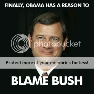 BlameBush.jpg