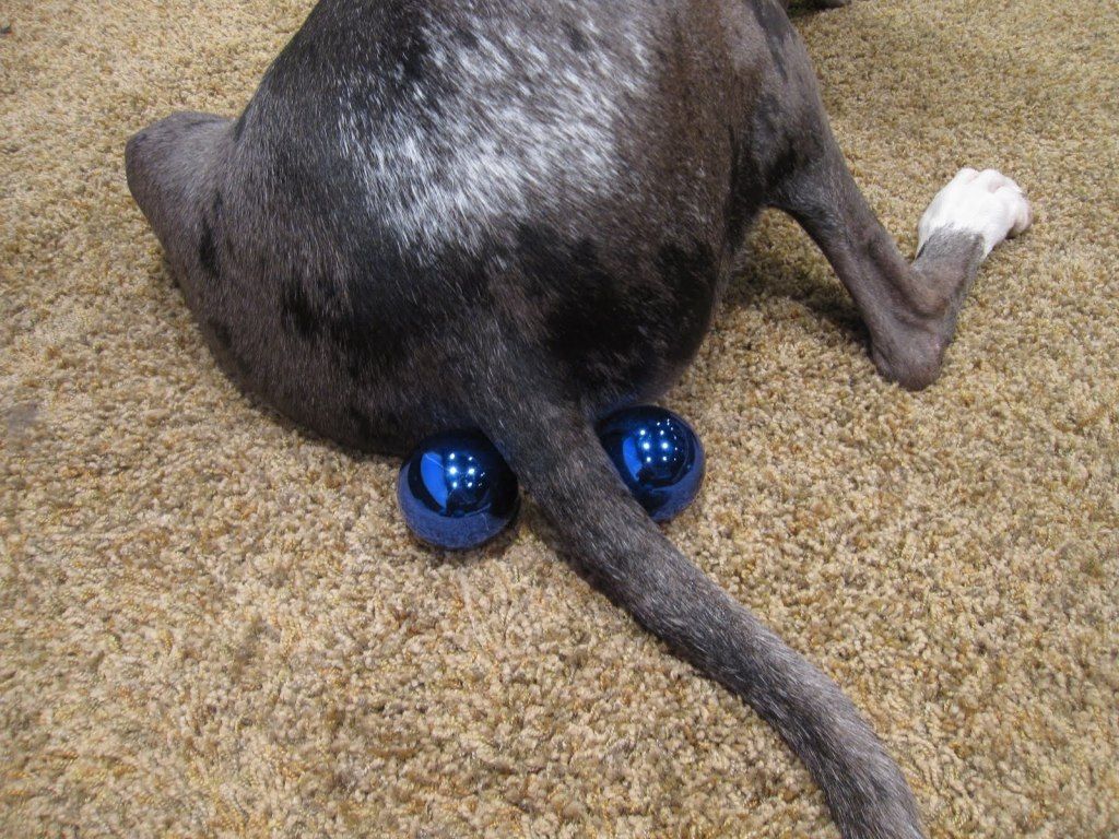 Blue2BBalls2B004.jpg
