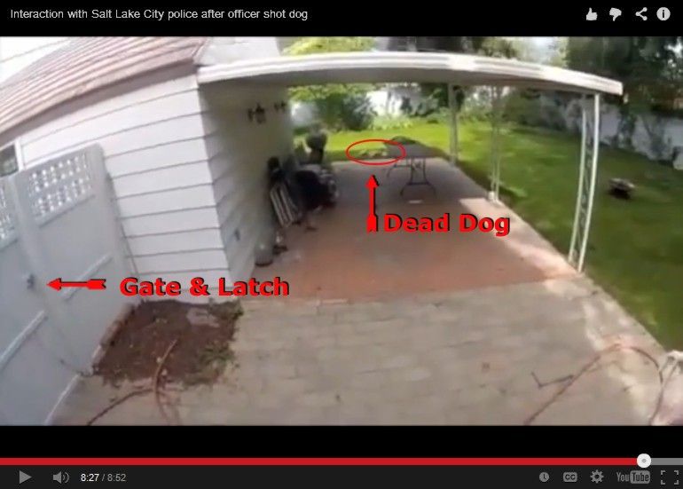 Shot-Dog.jpg