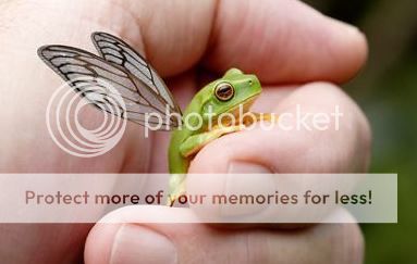 frog-with-wings.jpg
