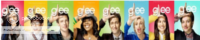 The Official "Glee" Guild banner