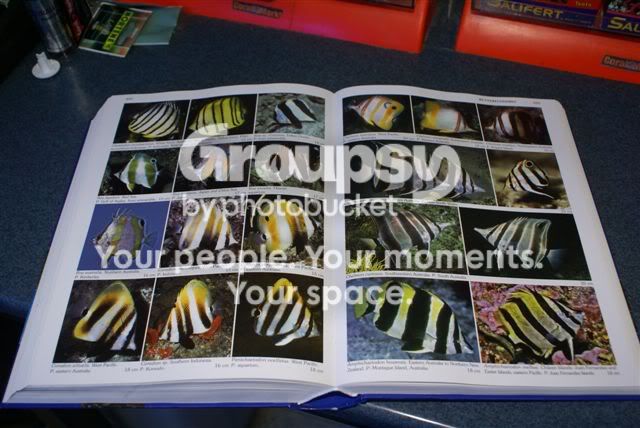 [TodoMarino.com] LIBROS!!!! en Coral Markt!!!