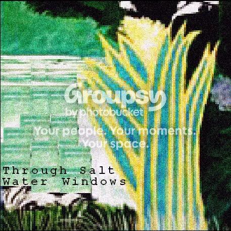 Through Salt Water Windows