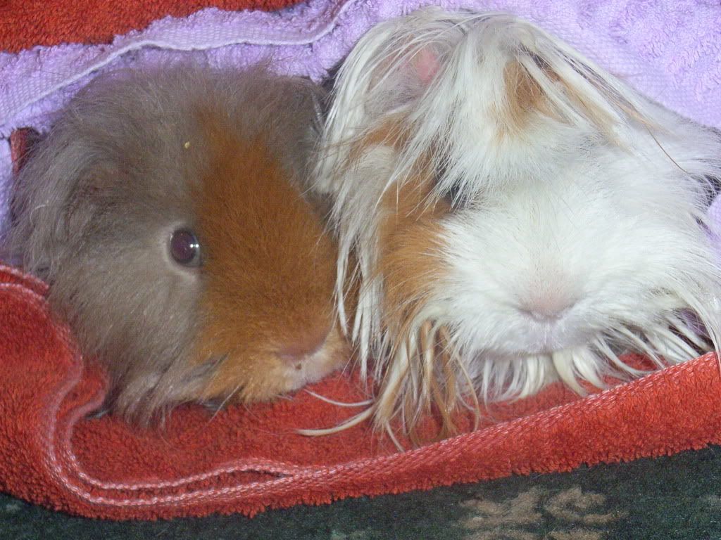 Picture026.jpg