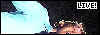 title or description