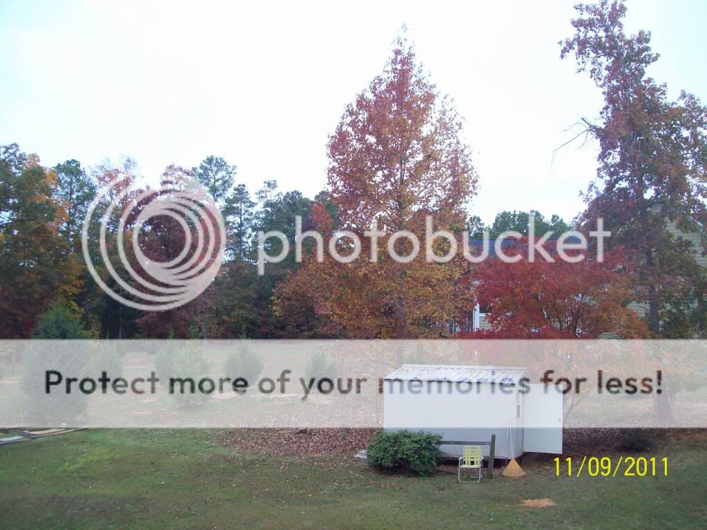 Fall 2011 100_0208-1