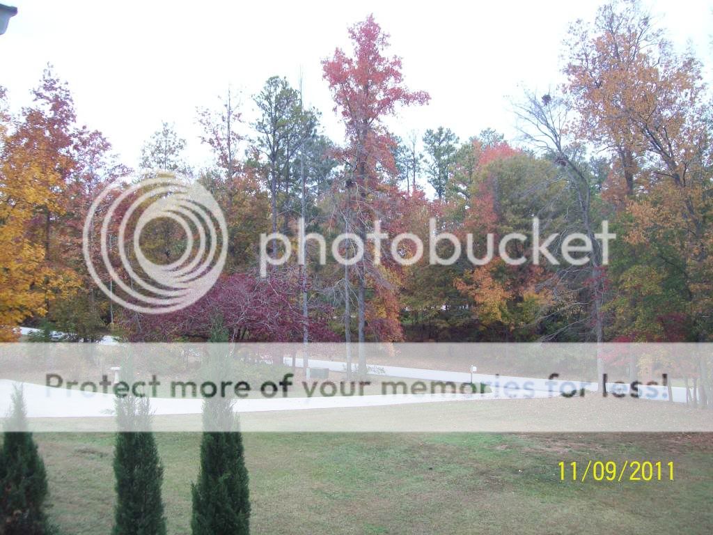 Fall 2011 100_0214