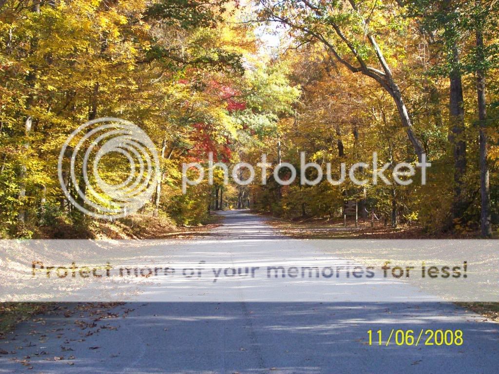 Fall Pics 100_0399