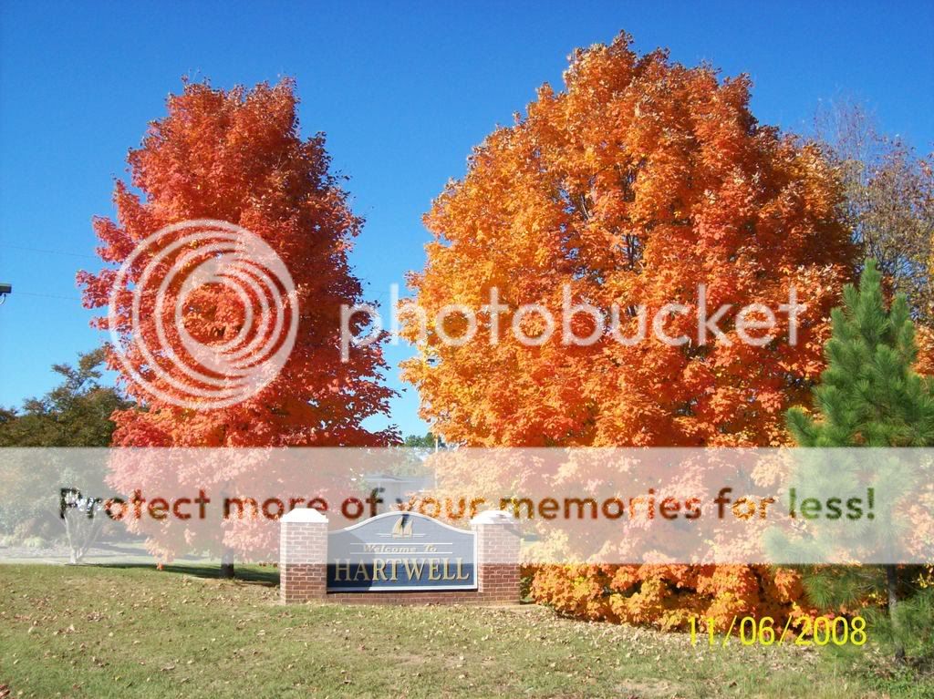 Fall Pics 100_0408
