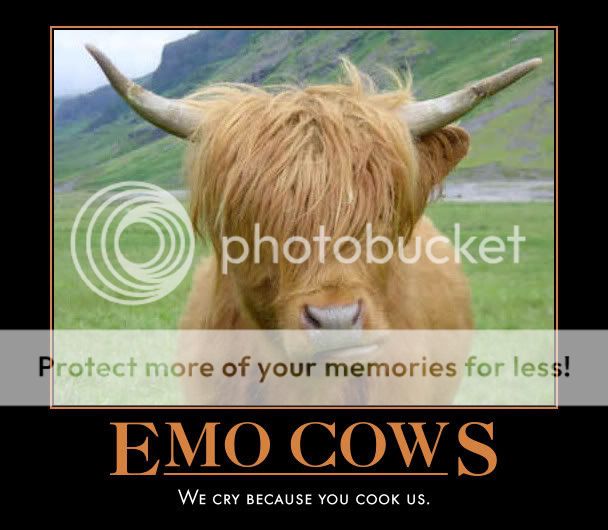 WHO ARE THE EMO's IN YOUR NEIGHBORHOOD?  IN YOUR NEIGHBORHOOD? ..... - Page 3 Emocow