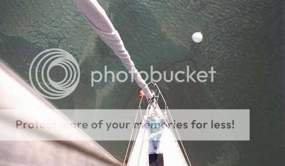 Image hosted by Photobucket.com